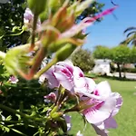 A Quinta Bolboretas