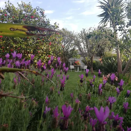 A Quinta Bolboretas Daire *