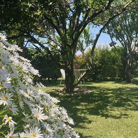 Appartement A Quinta Bolboretas Sanxenxo