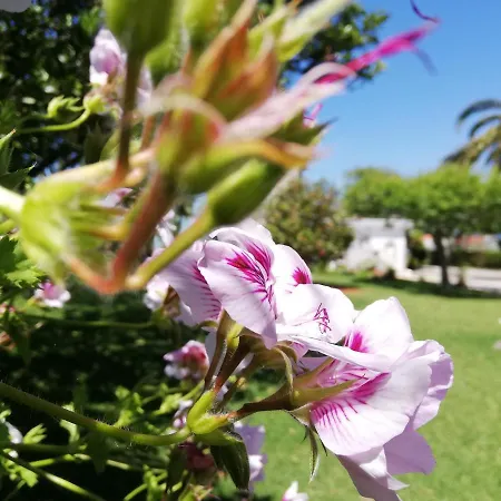A Quinta Bolboretas