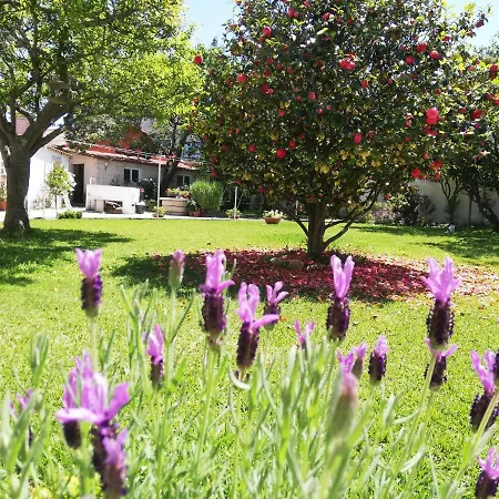 A Quinta Bolboretas * Sanxenxo