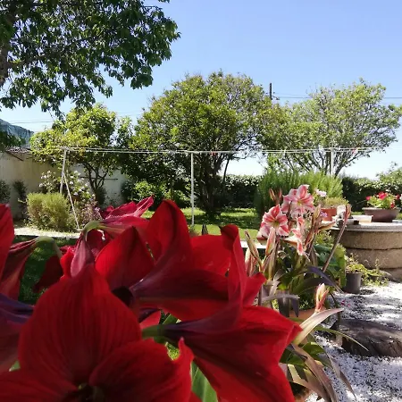 A Quinta Bolboretas Daire Sanxenxo