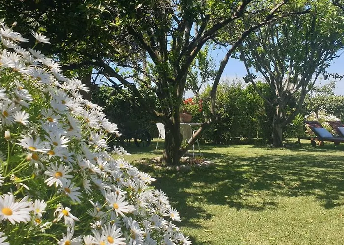 Apartmán A Quinta Bolboretas Sanxenxo