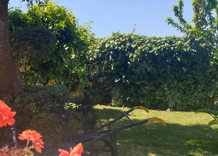 Apartmán A Quinta Bolboretas