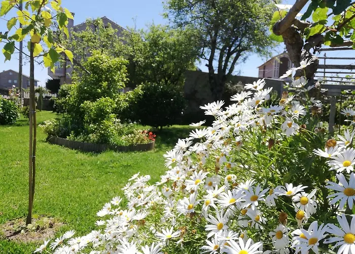 A Quinta Bolboretas * Sanxenxo