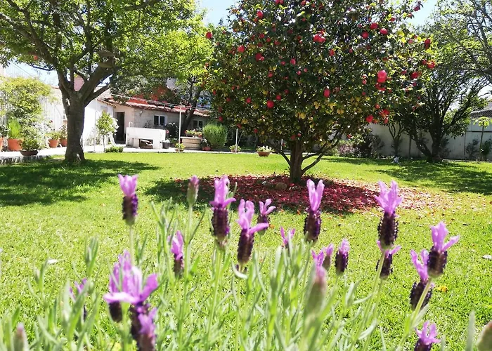 A Quinta Bolboretas * Sanxenxo